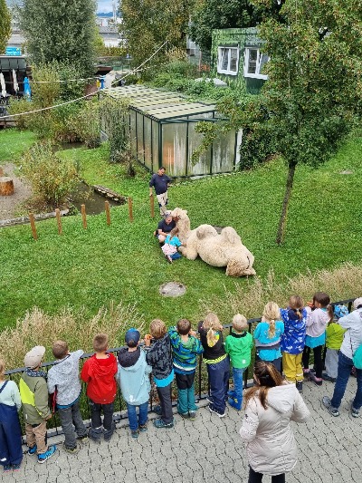 Besuch im Kinderzoo Rapperswil